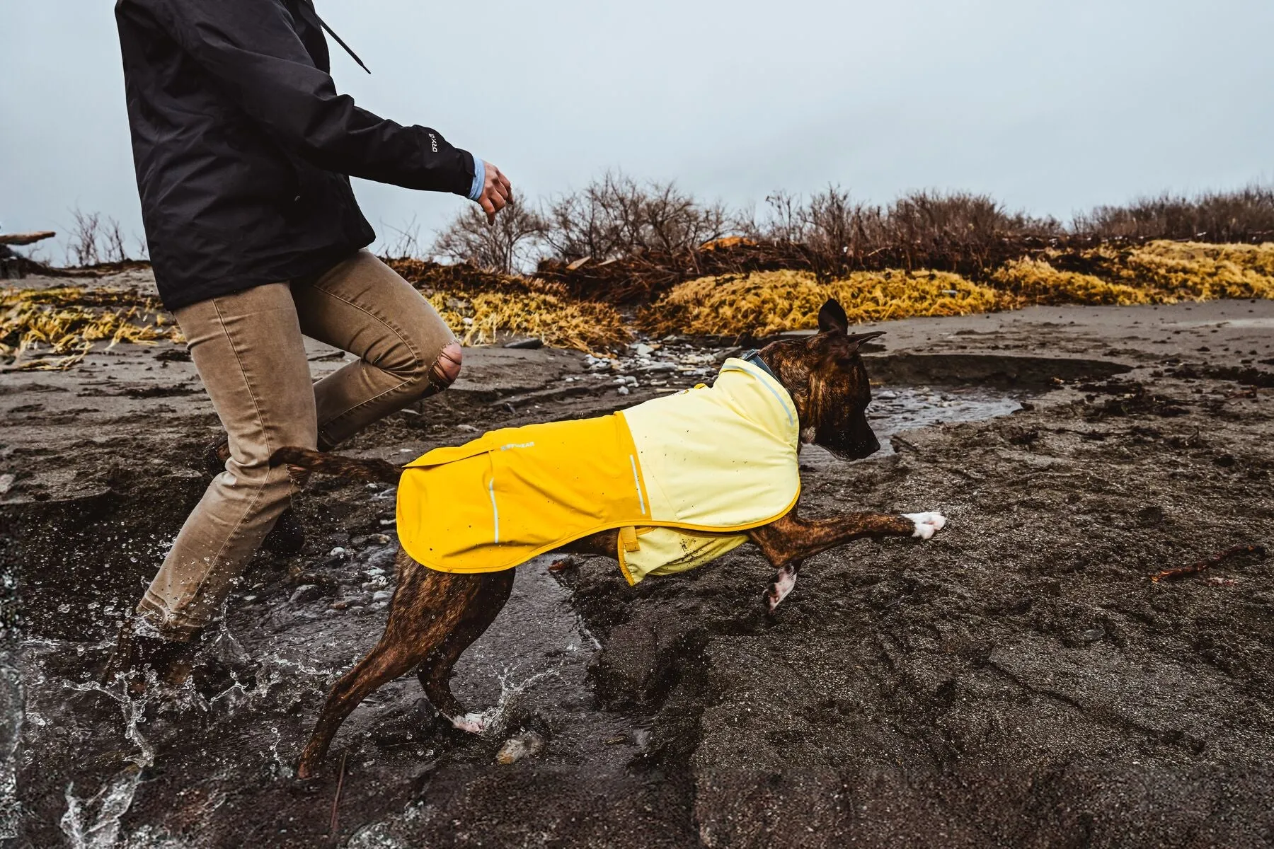 Sun Shower Jacket